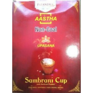Aastha Non-Coal Upasana Sambrani Cup 1stk