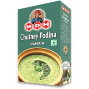 Chutney Podina Masala 100g