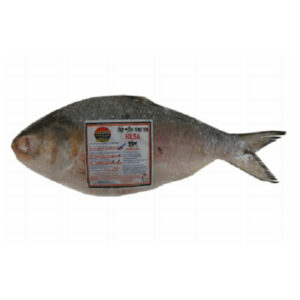 Hilsa 1500-2000 1kg *