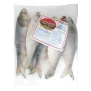Hilsa 300g-600g 1kg *