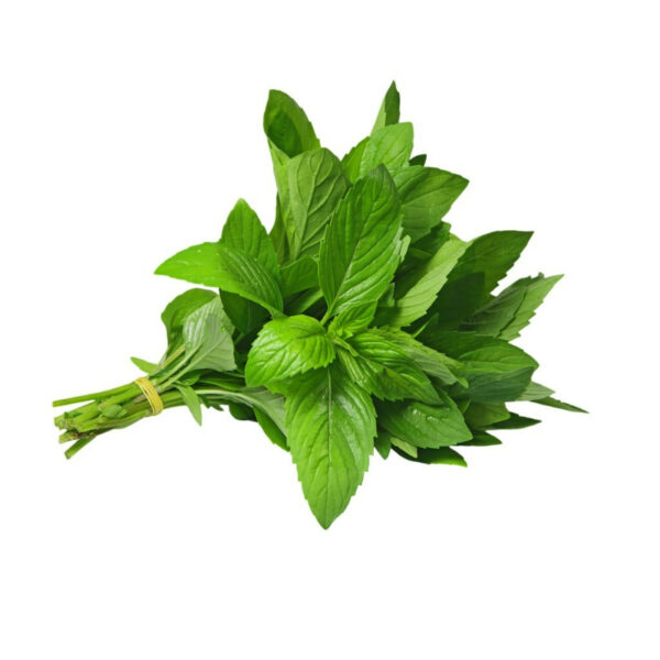 Peppermint 1stk (F)