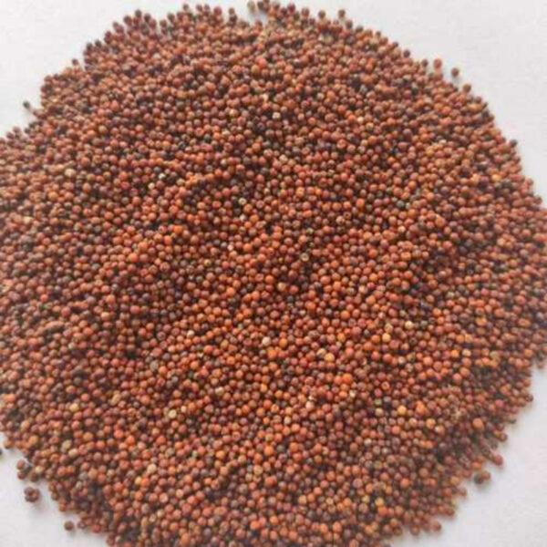 Ragi Whole 500g