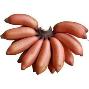 Red Banana 180g (F)